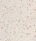 NUP93 Antibody (N-Term)